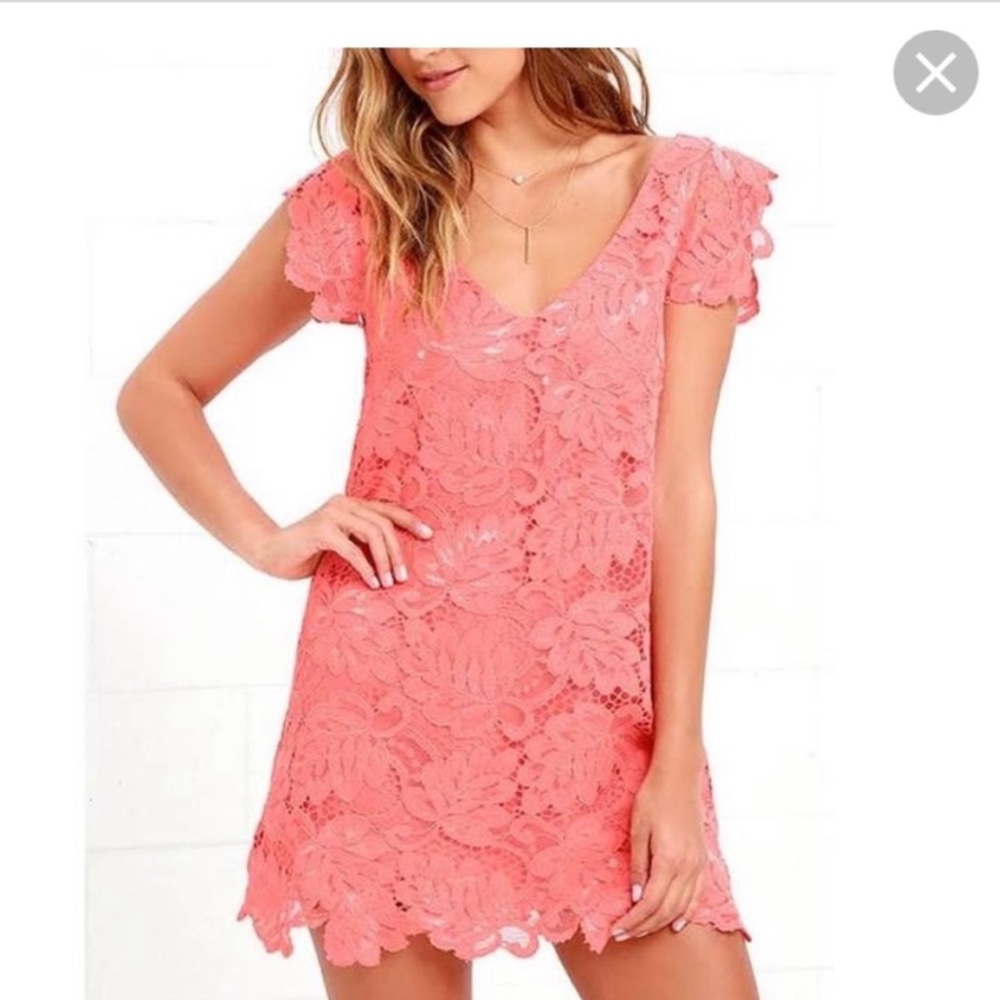 BB Dakota Lace Dress